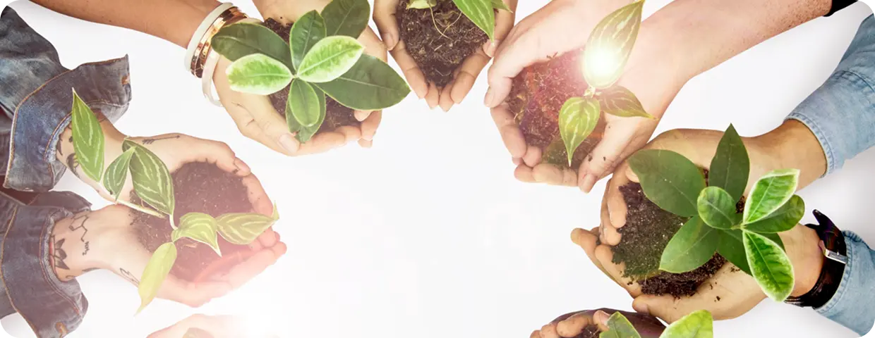 Clinics And Dispensaries